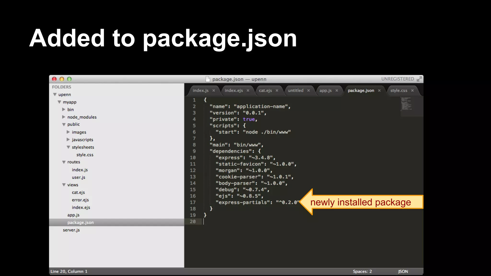 Added to package.json
newly installed package
 