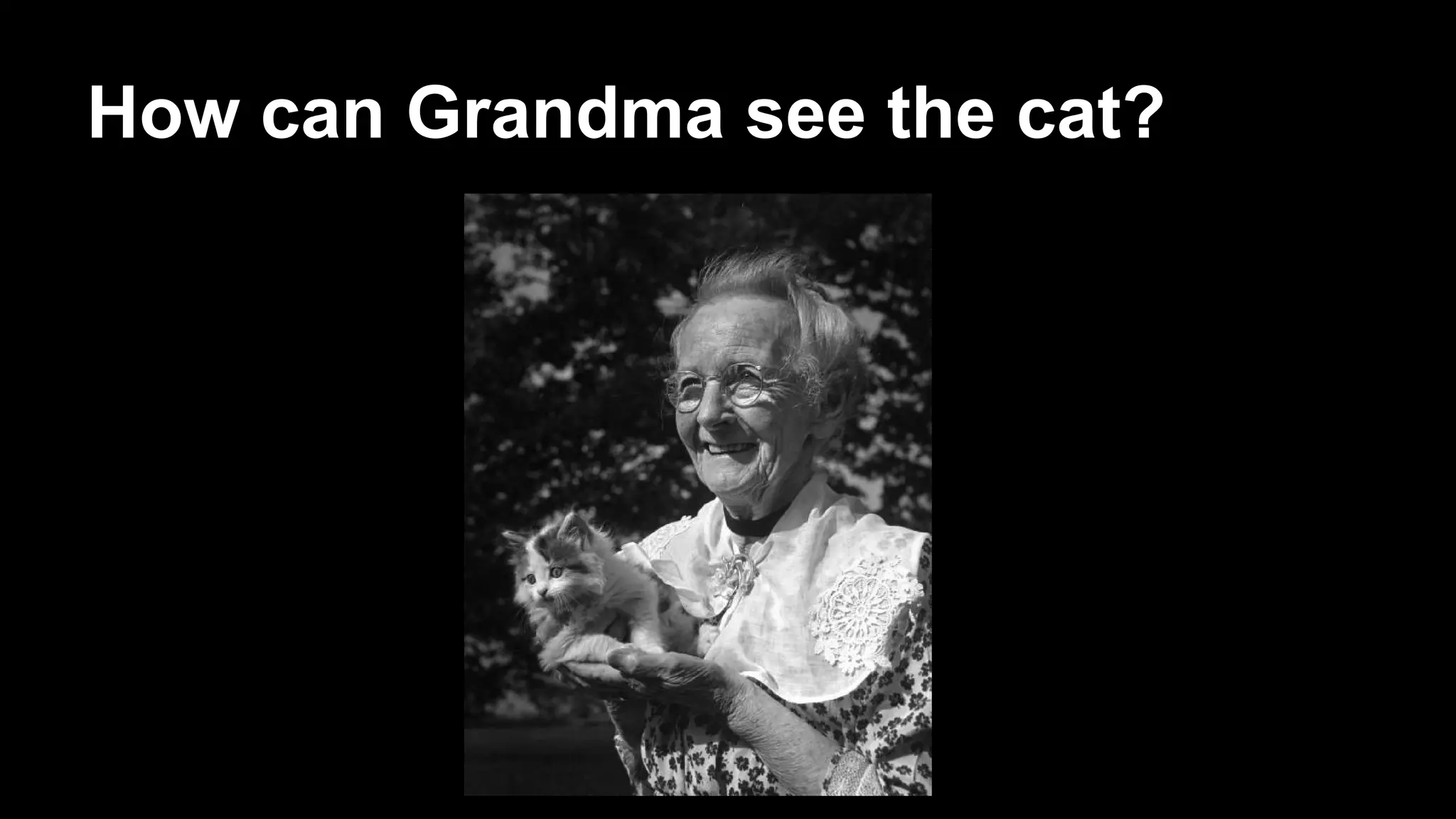 How can Grandma see the cat?
 