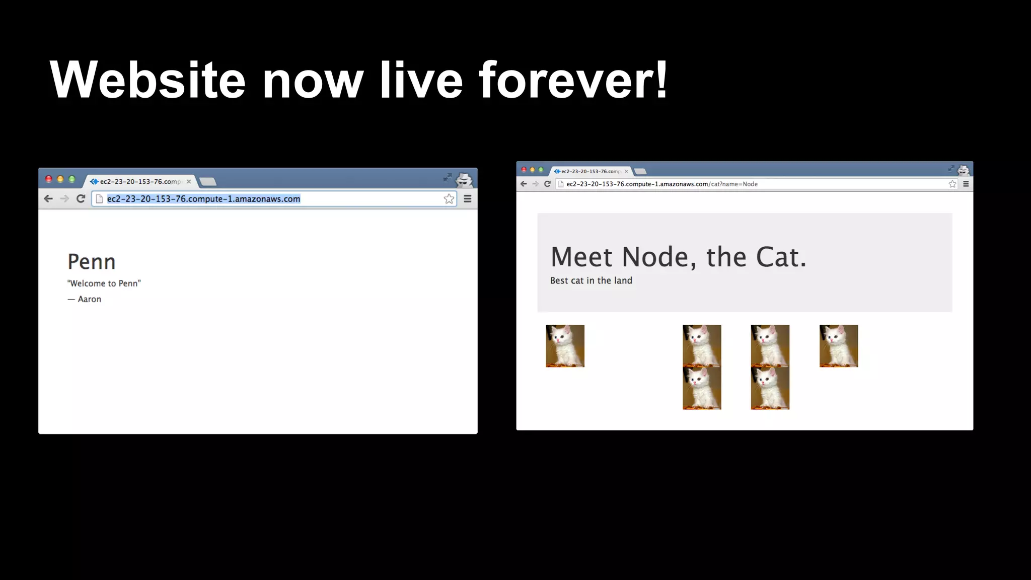Website now live forever!
 