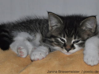 Janina Briesemeister / pixelio.de
 