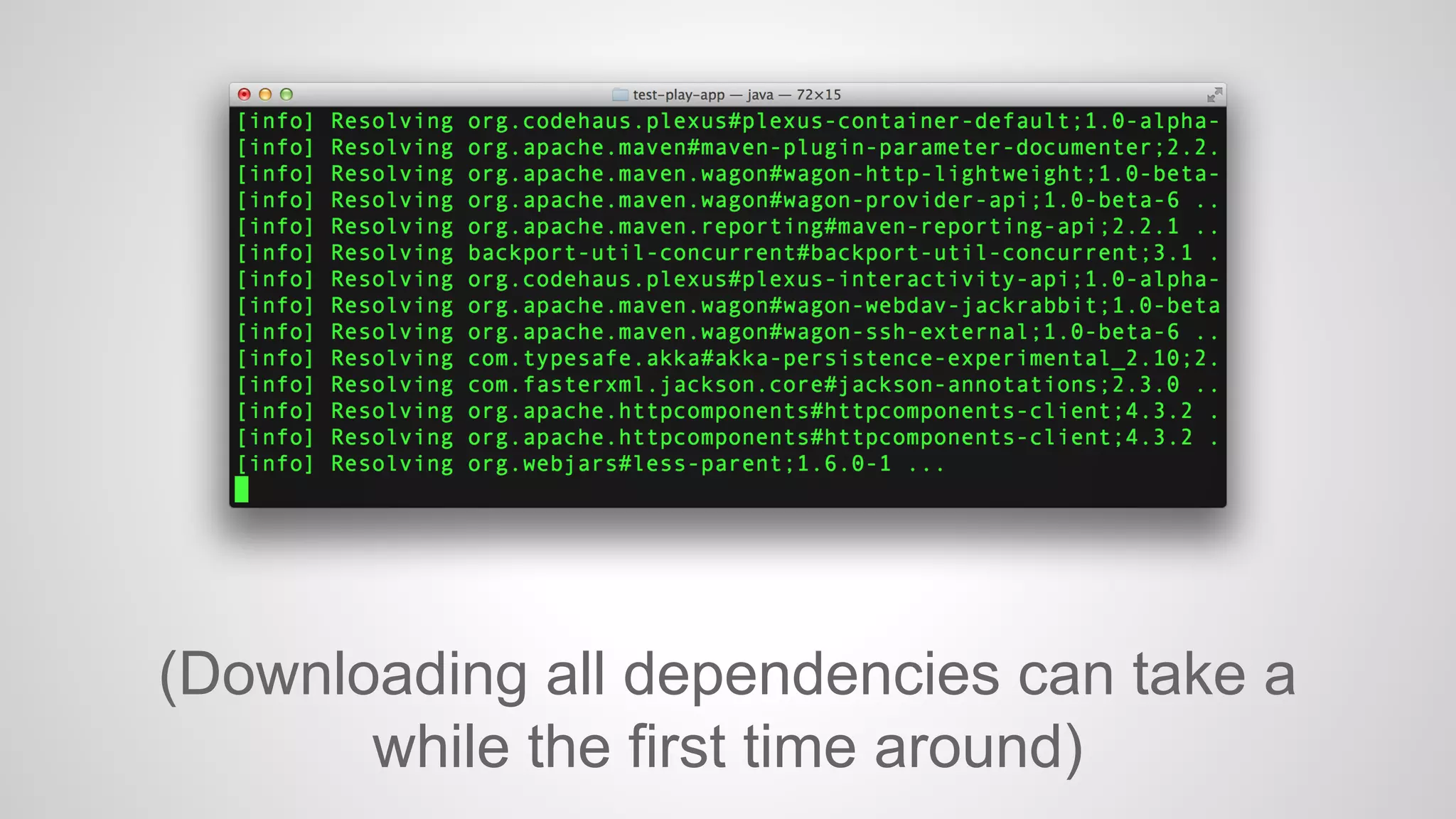 (Downloading all dependencies can take a 
while the first time around) 
 