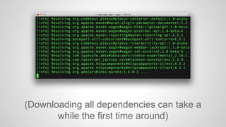 (Downloading all dependencies can take a 
while the first time around) 
 
