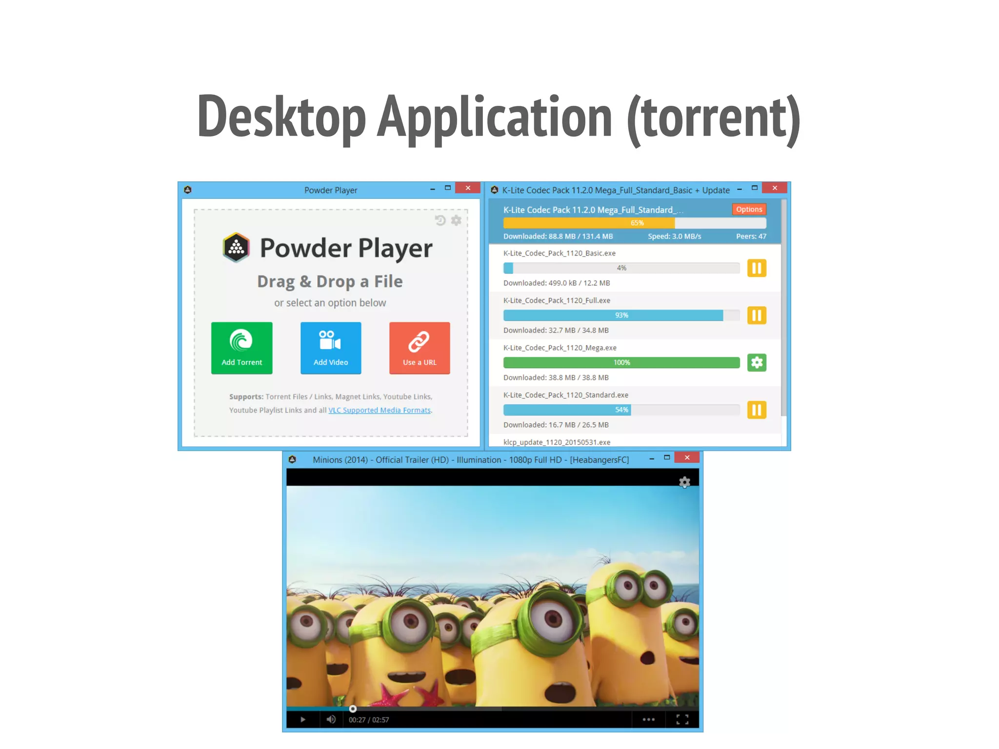 Desktop Application (torrent)
 