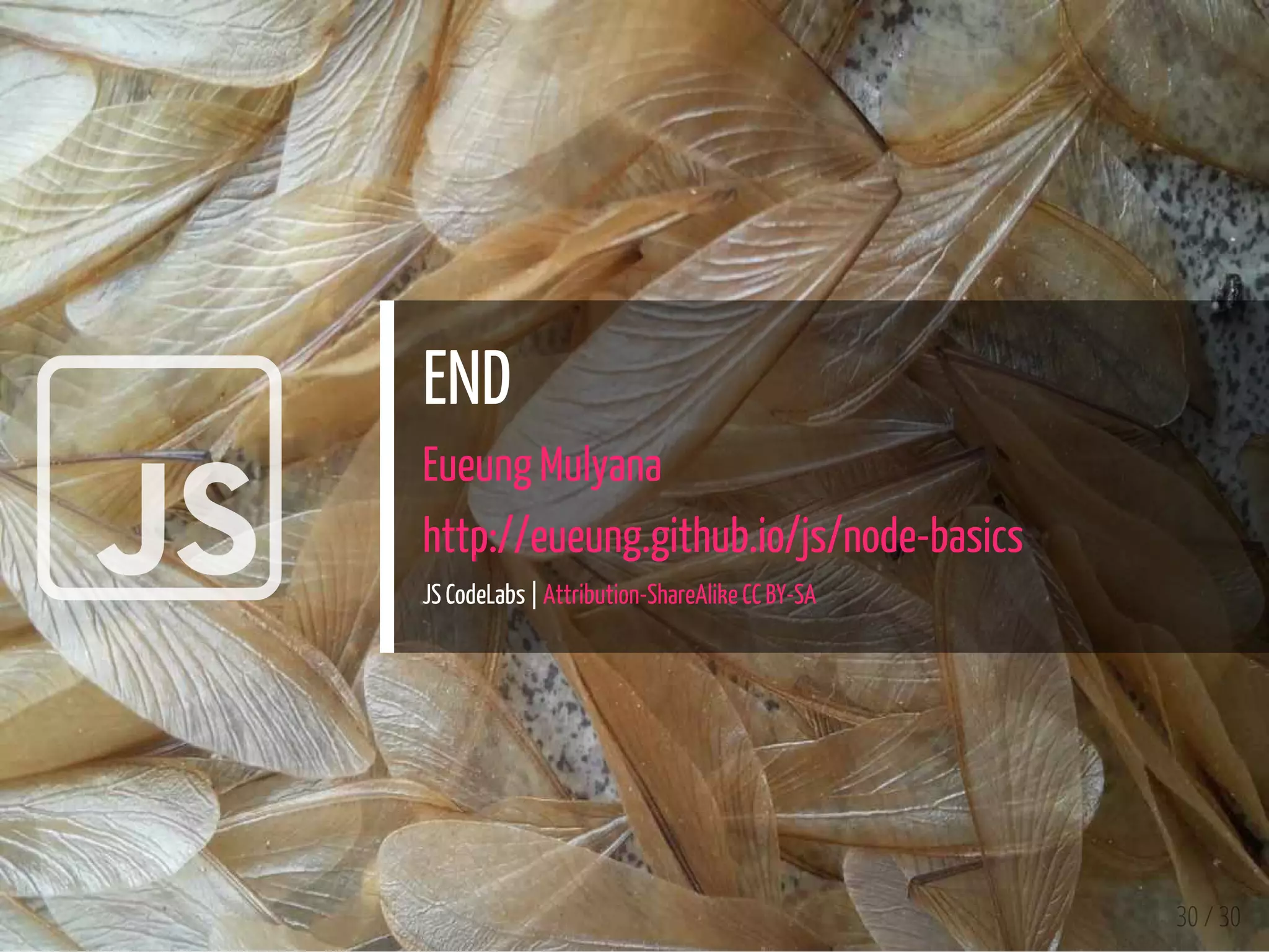 
END
Eueung Mulyana
http://eueung.github.io/js/node-basics
JS CodeLabs | Attribution-ShareAlike CC BY-SA
30 / 30
 