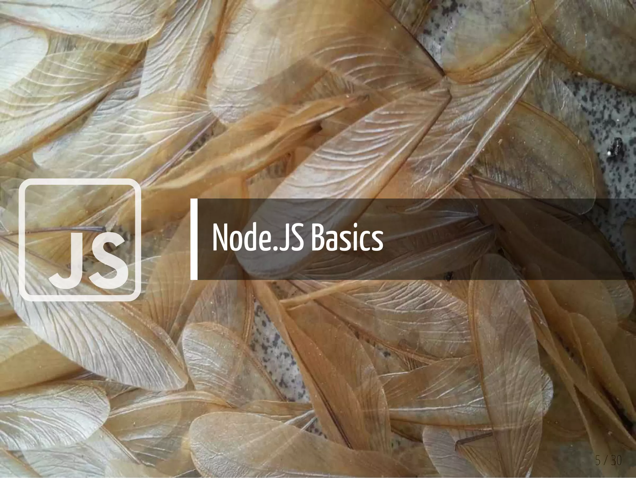  Node.JS Basics
5 / 30
 