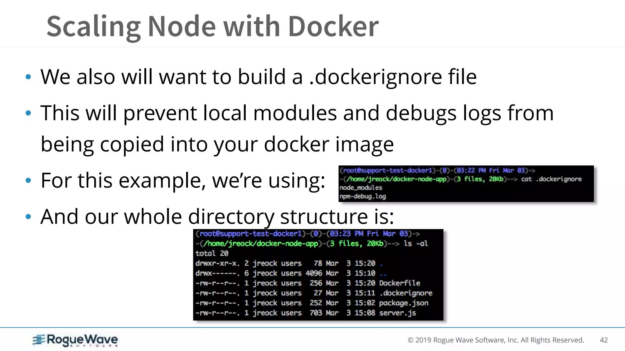 42© 2019 Rogue Wave Software, Inc. All Rights Reserved.
• We also will want to build a .dockerignore file
• This will prevent local modules and debugs logs from
being copied into your docker image
• For this example, we’re using:
• And our whole directory structure is:
 