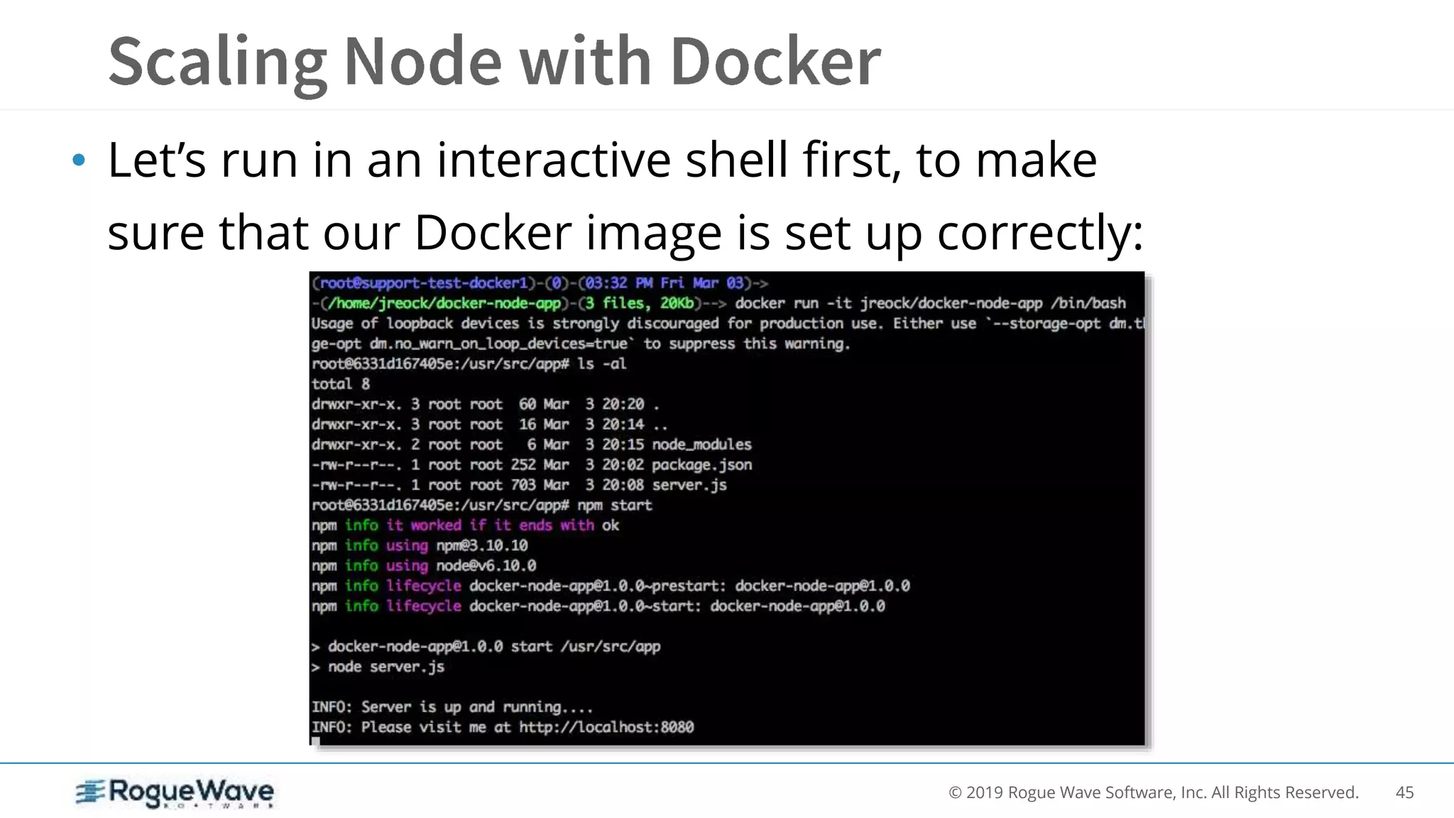 45© 2019 Rogue Wave Software, Inc. All Rights Reserved.
• Let’s run in an interactive shell first, to make
sure that our Docker image is set up correctly:
 