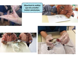 Observem la realitat
que ens envolta i
traiem conclusions.
 