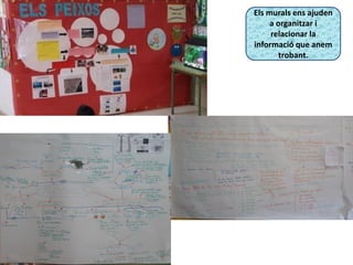 Els murals ens ajuden
a organitzar i
relacionar la
informació que anem
trobant.
 