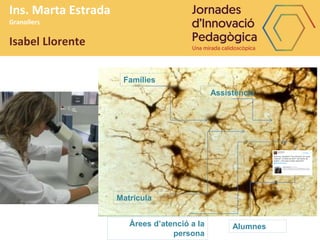 Ins. Marta Estrada
Granollers
Isabel Llorente
Famílies
Matrícula
AlumnesÀrees d’atenció a la
persona
Assistència
 