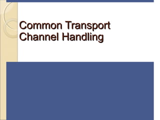 Common TransportCommon Transport
Channel HandlingChannel Handling
 