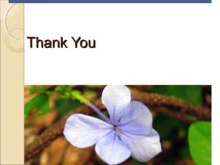 Thank YouThank You
 