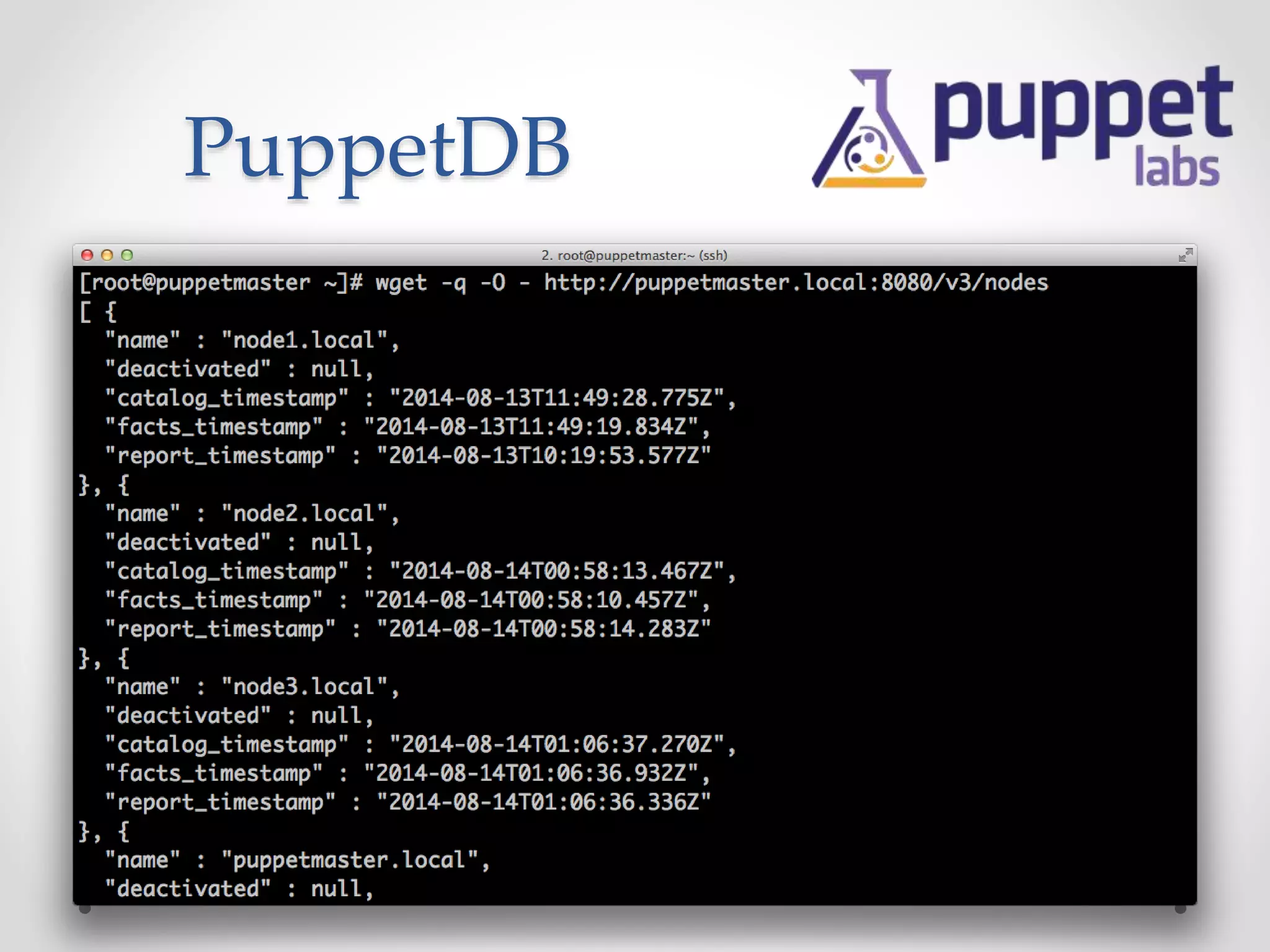 PuppetDB 
 