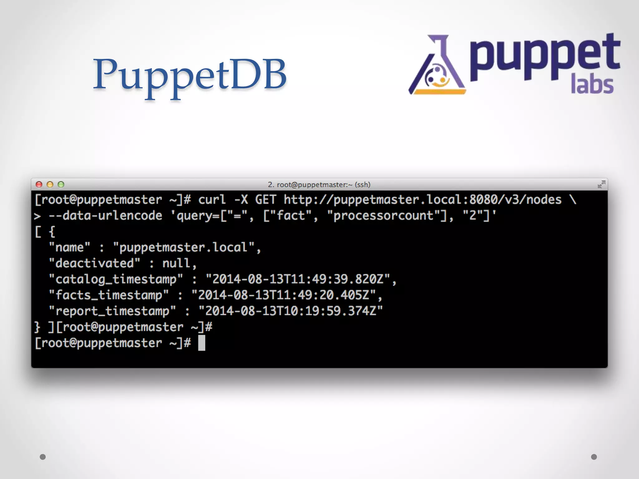 PuppetDB 
 