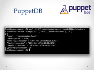 PuppetDB 
 
