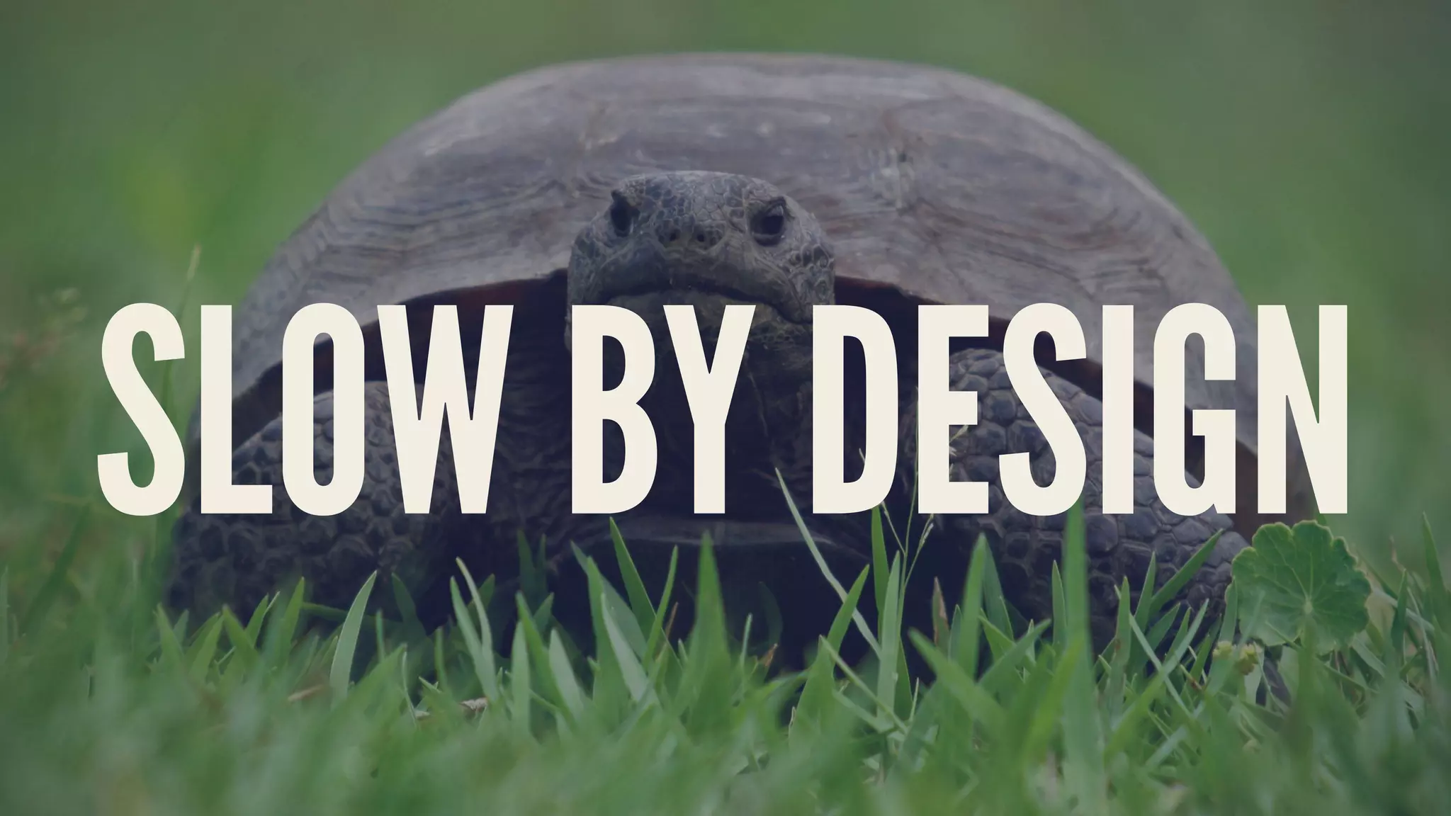 SLOW BY DESIGN
 