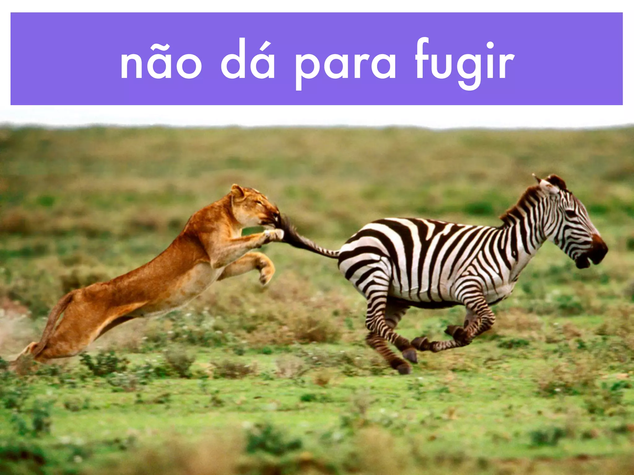 não dá para fugir
 