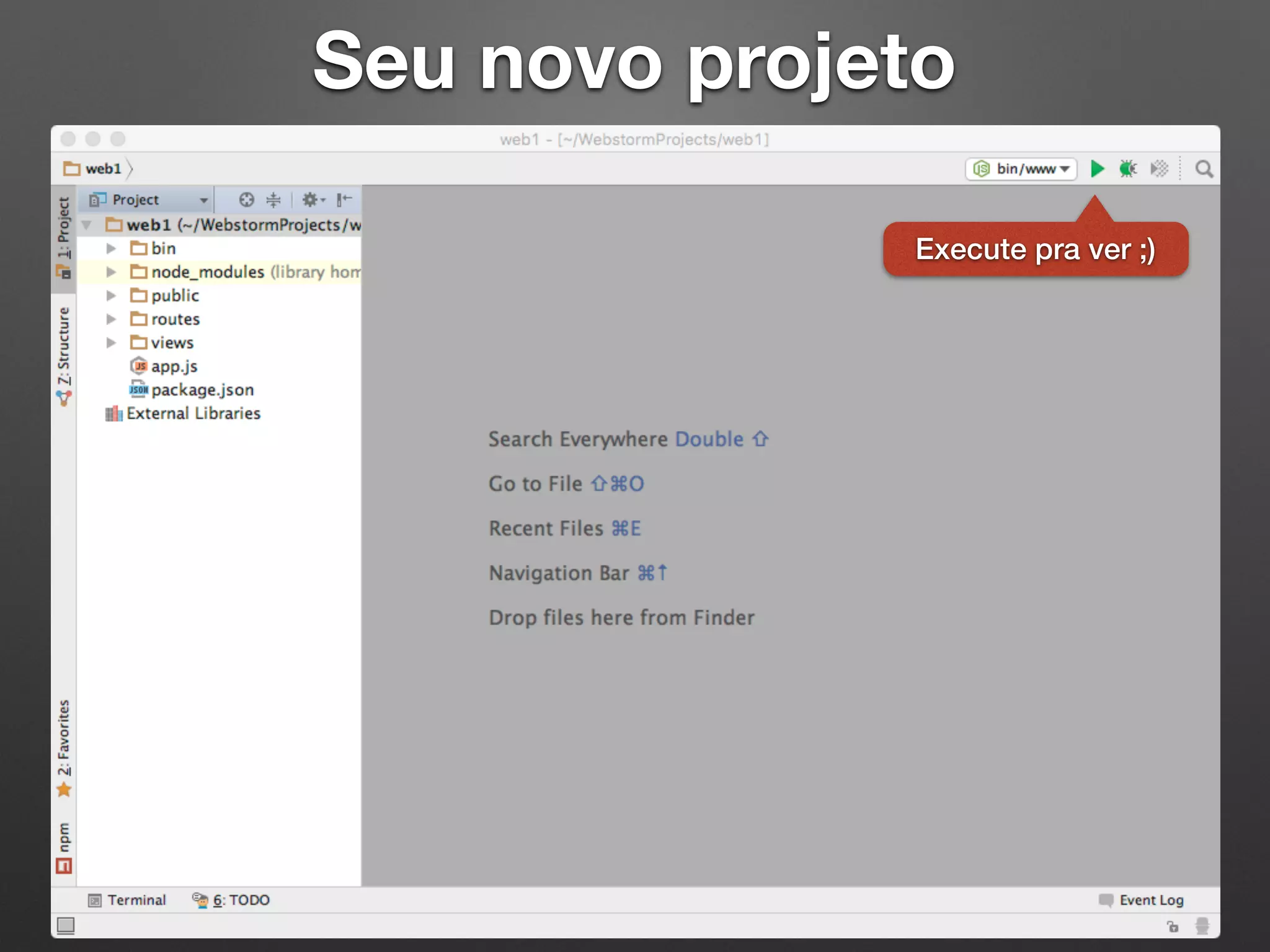 Seu novo projeto
Execute pra ver ;)
 