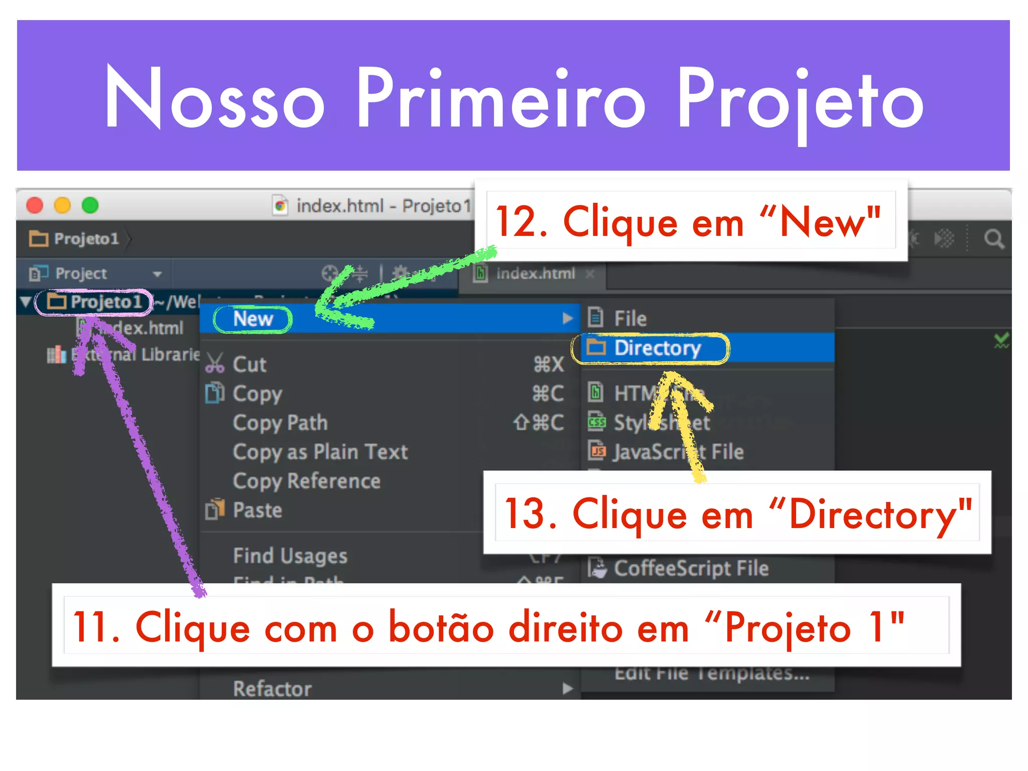 Nosso Primeiro Projeto
11. Clique com o botão direito em “Projeto 1"
12. Clique em “New"
13. Clique em “Directory"
 