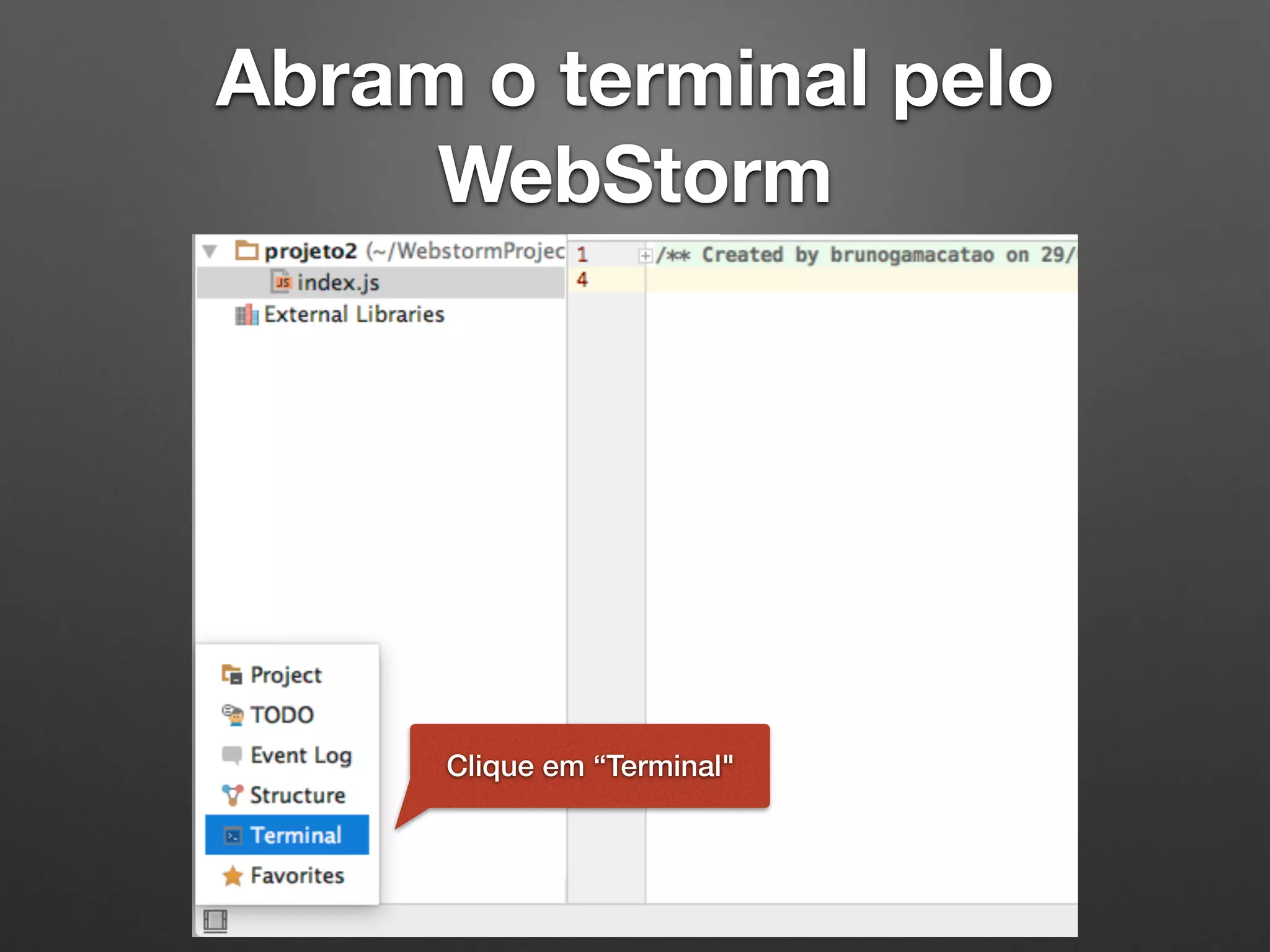 Abram o terminal pelo
WebStorm
Clique em “Terminal"
 