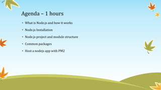 Agenda – 1 hours
• What is Node.js and how it works
• Node.js Installation
• Node.js project and module structure
• Common packages
• Host a nodejs app with PM2
 