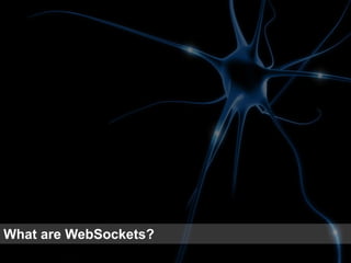 48 
What are WebSockets?  
