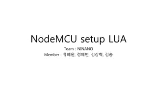 NodeMCU setup LUA
Team : NINANO
Member : 류혜원, 정혜빈, 김상혁, 김숭
 