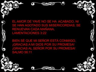 EL AMOR DE YAVE NO SE HA ACABADO, NI SE HAN AGOTADO SUS MISERICORDIAS; SE RENUEVAN CADA MAÑANA.LAMENTACIONES 3:22 BIEN SÉ QUE MI SEÑOR ESTÁ CONMIGO. ¡GRACIAS A MI DIOS POR SU PROMESA! ¡GRACIAS AL SEÑOR POR SU PROMESA!SALMO 56:11