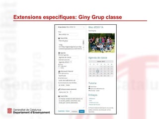 Extensions específiques: Giny Grup classe
 