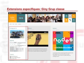 Extensions específiques: Giny Grup classe
 
