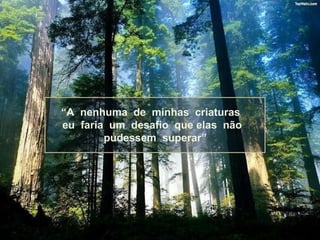 “A nenhuma de minhas criaturas
eu faria um desafio que elas não
        pudessem superar”
 