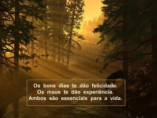 Os bons dias te dão felicidade.
  Os maus te dão experiência.
Ambos são essenciais para a vida.
 