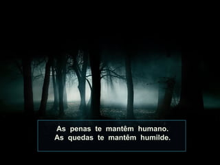 As penas te mantêm humano.
As quedas te mantêm humilde.
 