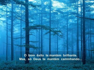O bom êxito te mantém brilhante.
Mas, só Deus te mantém caminhando...
 