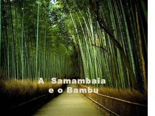 A Samambaia
  e o Bambu
 