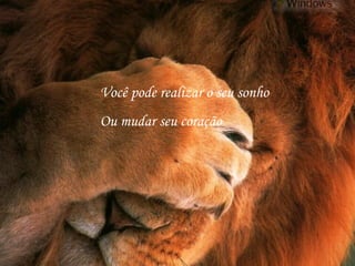 Você pode realizar o seu sonho Ou mudar seu coração 