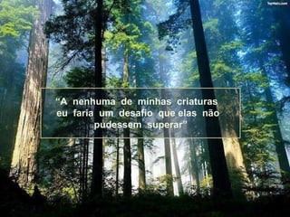 “ A  nenhuma  de  minhas  criaturas  eu  faria  um  desafio  que elas  não  pudessem  superar” 