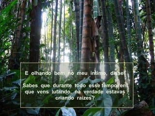 E  olhando  bem  no  meu  íntimo,  disse: Sabes  que  durante  todo  esse tempo  em que  vens  lutando,  na  verdade  estavas  criando  raízes? 