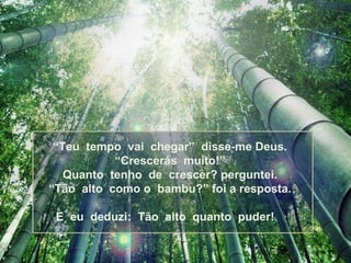“ Teu  tempo  vai  chegar”  disse-me Deus. “Crescerás  muito!” Quanto  tenho  de  crescer? perguntei. “Tão  alto  como o  bambu?” foi a resposta. E  eu  deduzi:  Tão  alto  quanto  puder!  