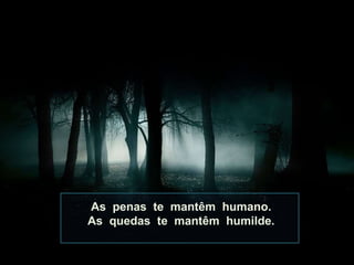 As  penas  te  mantêm  humano. As  quedas  te  mantêm  humilde. 