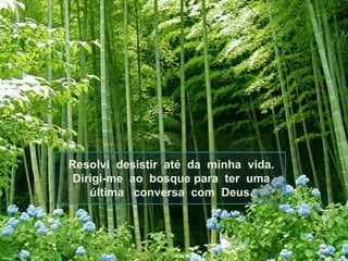 Resolvi  desistir  até  da  minha  vida. Dirigi-me  ao  bosque para  ter  uma última  conversa  com  Deus. 