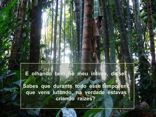 E olhando bem no meu íntimo, disse:

Sabes que durante todo esse tempo em
 que vens lutando, na verdade estavas
            criando raízes?
 