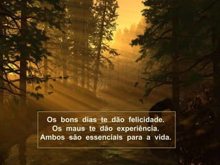 Os bons dias te dão felicidade.
  Os maus te dão experiência.
Ambos são essenciais para a vida.
 