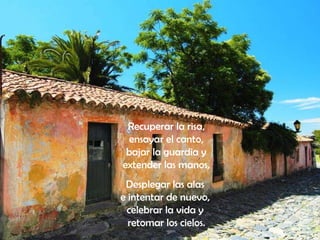 Desplegar las alas  e intentar de nuevo,  celebrar la vida y  retomar los cielos. Recuperar la risa,  ensayar el canto,  bajar la guardia y  extender las manos,   