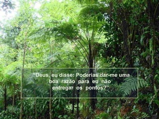 O Sucesso Na Vida Depende De Nunca Desistir Da Imagem, Já Que a Palavra  Nunca Desistiu De Um Morcego Para Mostrar Que Nunca Desist Ilustração Stock  - Ilustração de vida, nunca: 190621214