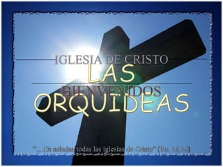 IGLESIA DE CRISTO LAS ORQUIDEAS BIENVENIDOS “…Os saludan todas las iglesias de Cristo” (Ro. 16.16) 