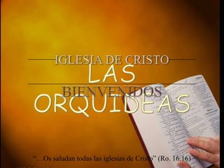 IGLESIA DE CRISTO LAS ORQUIDEAS BIENVENIDOS “…Os saludan todas las iglesias de Cristo” (Ro. 16.16) 