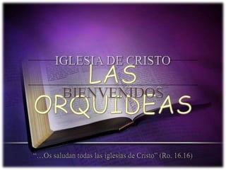 IGLESIA DE CRISTO LAS ORQUIDEAS BIENVENIDOS “…Os saludan todas las iglesias de Cristo” (Ro. 16.16) 
