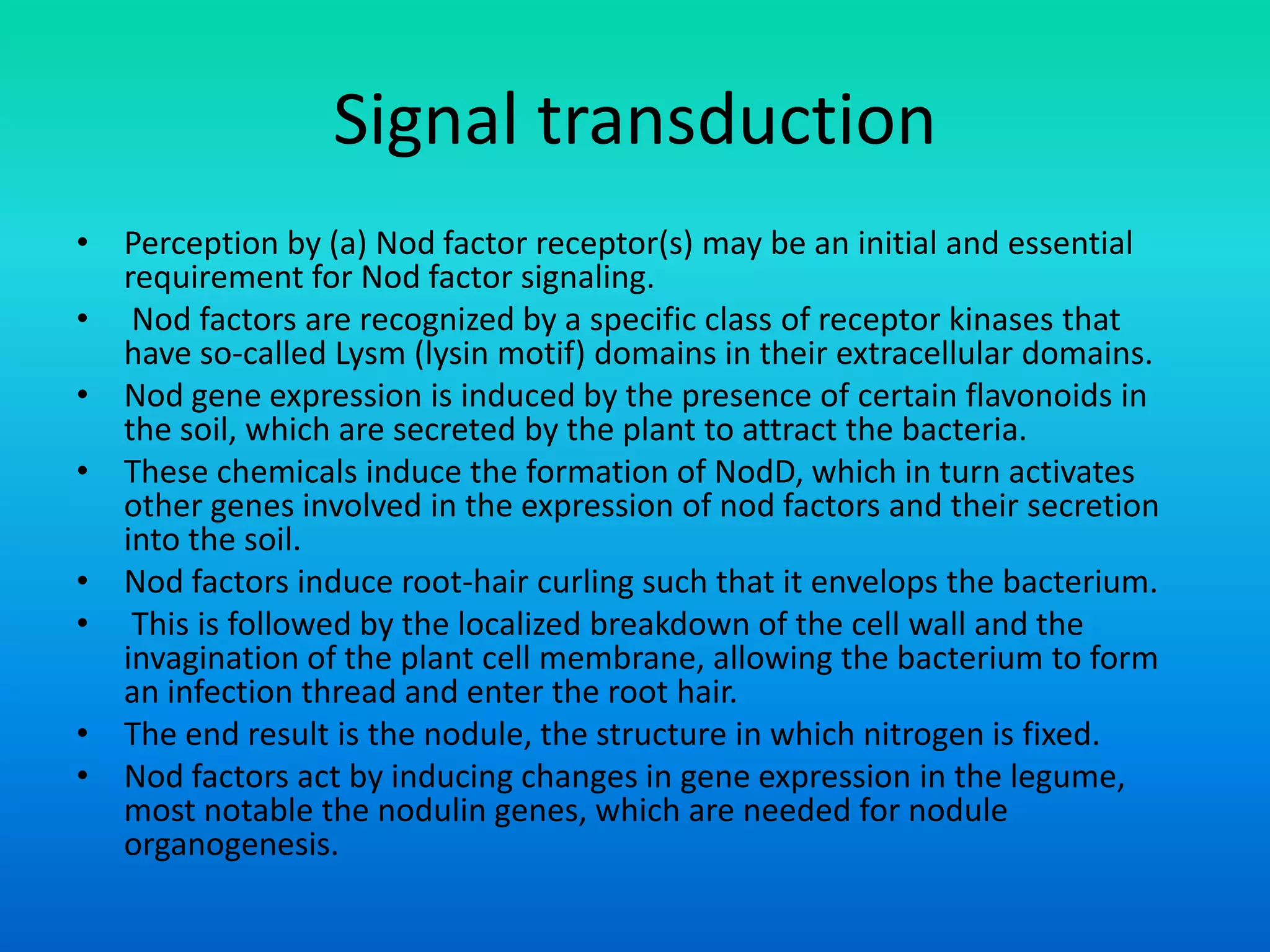 Signal transduction
• Perception by (a) Nod factor receptor(s) may be an initial and essential
requirement for Nod factor signaling.
• Nod factors are recognized by a specific class of receptor kinases that
have so-called Lysm (lysin motif) domains in their extracellular domains.
• Nod gene expression is induced by the presence of certain flavonoids in
the soil, which are secreted by the plant to attract the bacteria.
• These chemicals induce the formation of NodD, which in turn activates
other genes involved in the expression of nod factors and their secretion
into the soil.
• Nod factors induce root-hair curling such that it envelops the bacterium.
• This is followed by the localized breakdown of the cell wall and the
invagination of the plant cell membrane, allowing the bacterium to form
an infection thread and enter the root hair.
• The end result is the nodule, the structure in which nitrogen is fixed.
• Nod factors act by inducing changes in gene expression in the legume,
most notable the nodulin genes, which are needed for nodule
organogenesis.
 