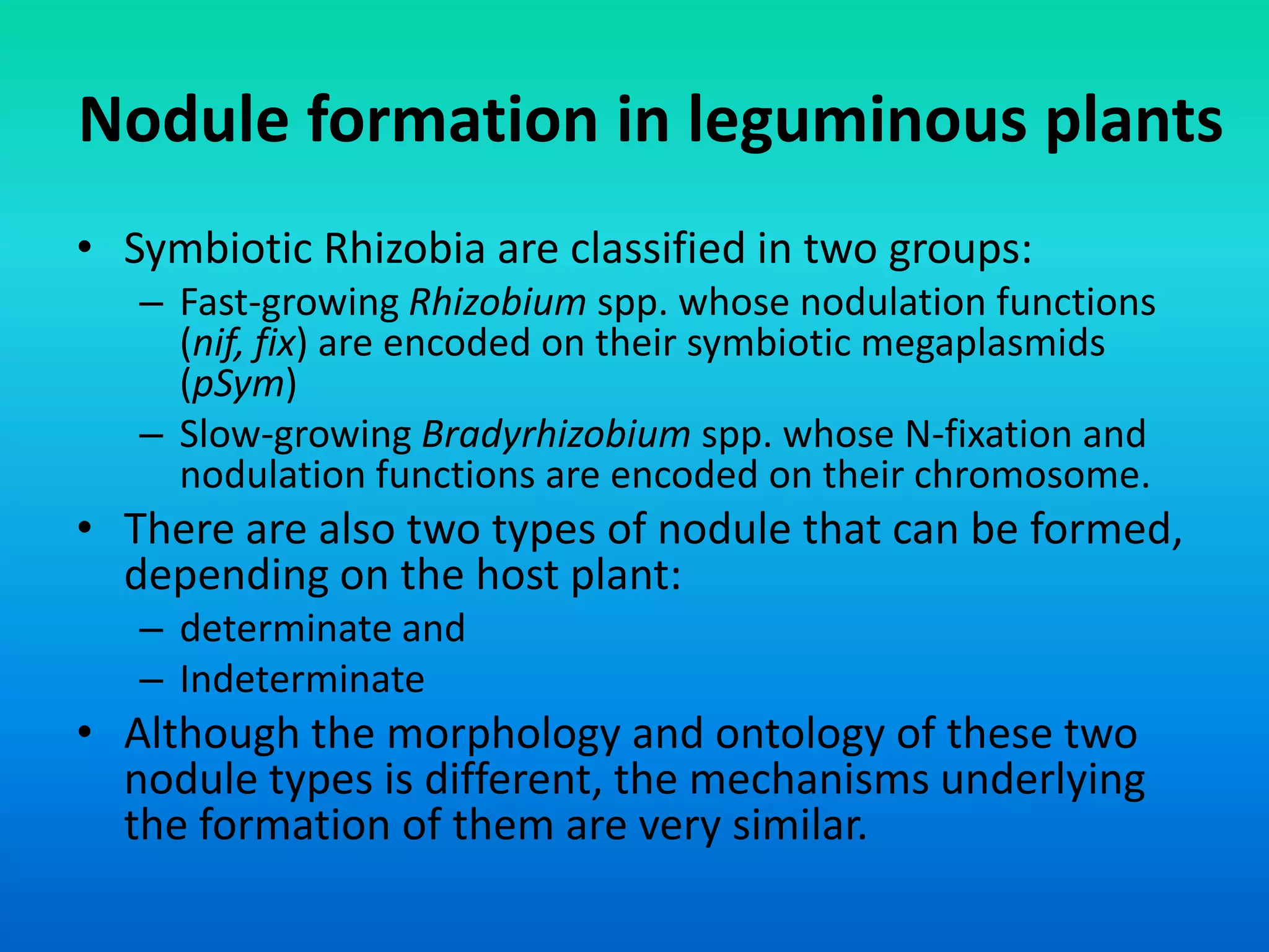 Nodule formation in leguminous plants
• Symbiotic Rhizobia are classified in two groups:
– Fast-growing Rhizobium spp. whose nodulation functions
(nif, fix) are encoded on their symbiotic megaplasmids
(pSym)
– Slow-growing Bradyrhizobium spp. whose N-fixation and
nodulation functions are encoded on their chromosome.
• There are also two types of nodule that can be formed,
depending on the host plant:
– determinate and
– Indeterminate
• Although the morphology and ontology of these two
nodule types is different, the mechanisms underlying
the formation of them are very similar.
 